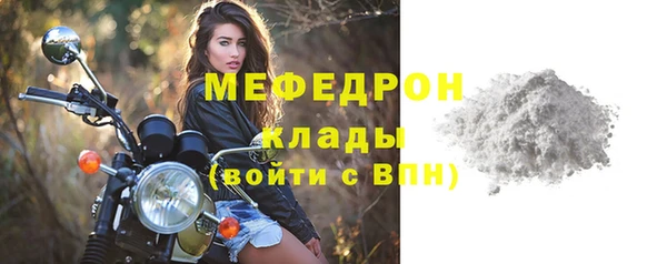 шишки Медвежьегорск