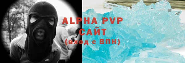 индика Тотьма