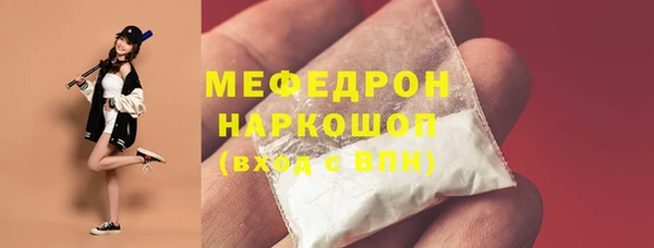 шишки Медвежьегорск