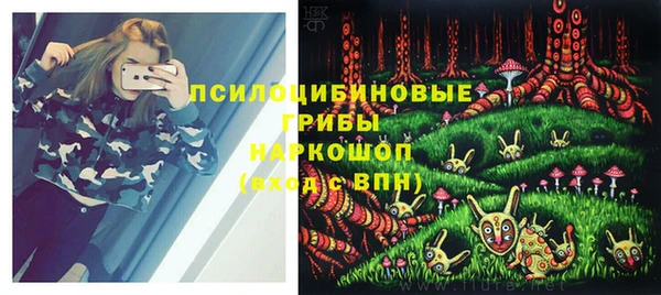 шишки Медвежьегорск