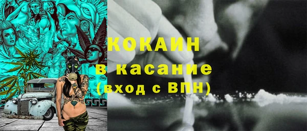 шишки Медвежьегорск