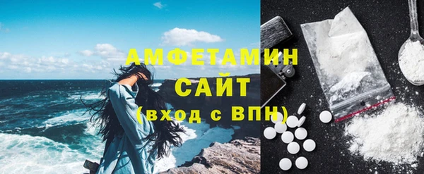 индика Тотьма