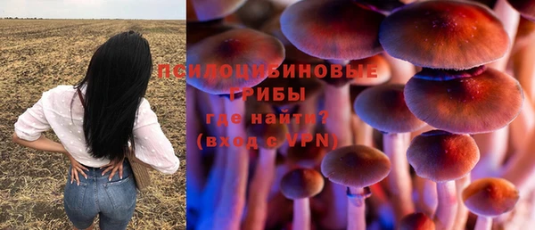 шишки Медвежьегорск