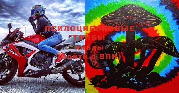мяу мяу мука Михайловск