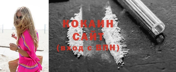 шишки Медвежьегорск