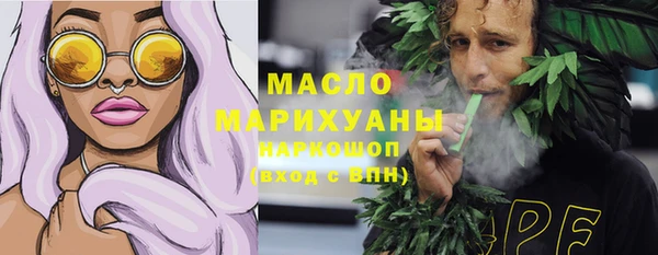 твердый Михайлов