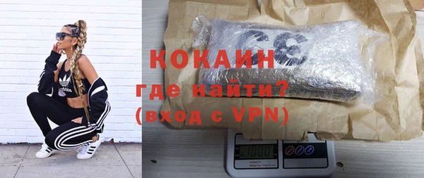 шишки Медвежьегорск