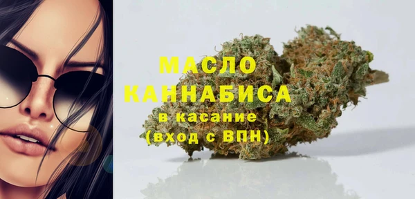 твердый Михайлов