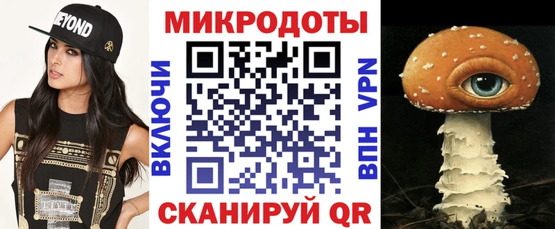 Псилоцибиновые грибы мухоморы  блэк спрут как зайти  Суздаль 